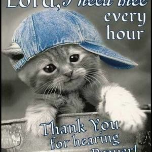 Meet your Posher, Tammy